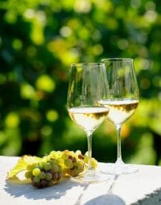 Enjoy Fruit Wine
